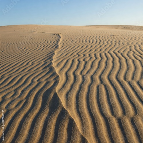 Desert dunes with embossed sand and morning light.