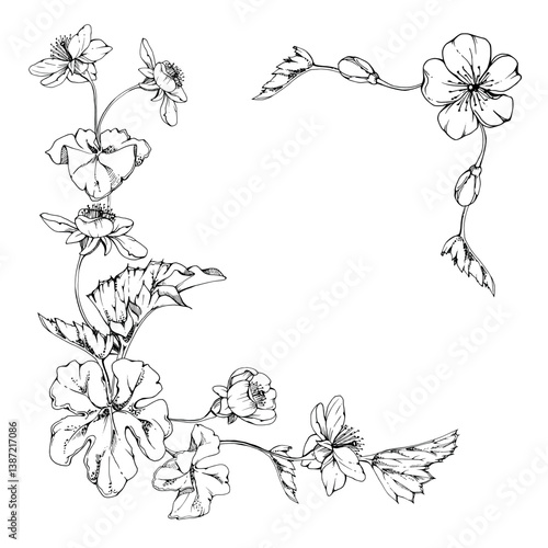 Spring white apple cherry sakura flowers with leaves, forest cloudberry anemone primrose ephemera, hand drawn vector ink. Corner frame isolated illustration, for wedding, florist shop, scrapbooking