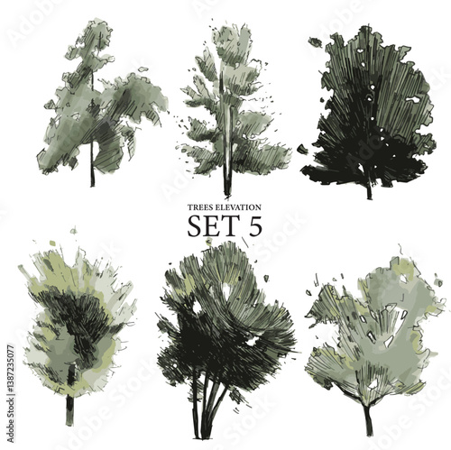 Vector illustration of trees side view hand drawn for architectural and landscape design in a watercolor style set 5	