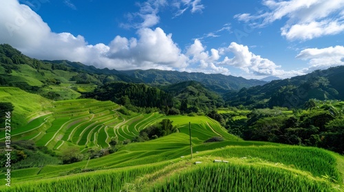 Green Rice Terraces in Valley Hills Under Blue Sky with Clouds