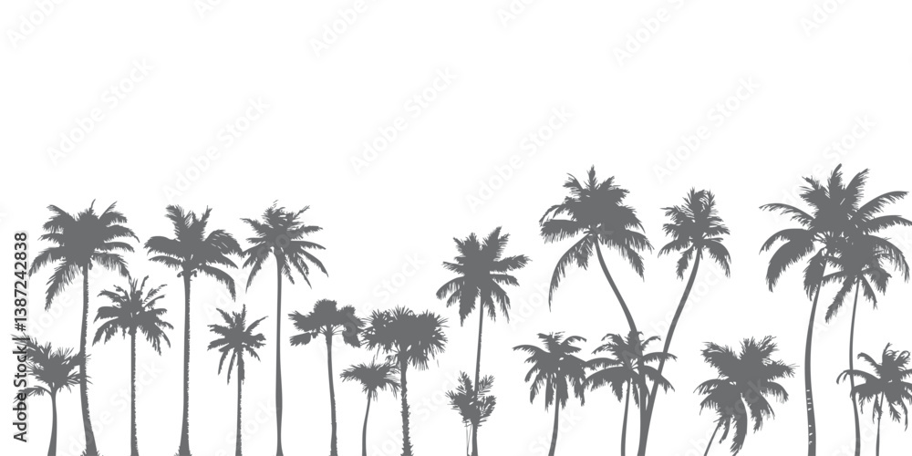 Silhouettes of palm trees standing neatly in a row like a forest or summer and beach background Silhouettes of palm trees standing neatly in a row like a forest or summer and beach background