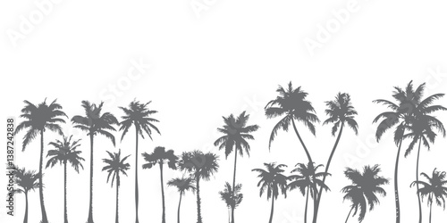 Silhouettes of palm trees standing neatly in a row like a forest or summer and beach background