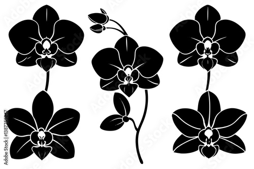 set of Orchid Flower silhouette vector illustration