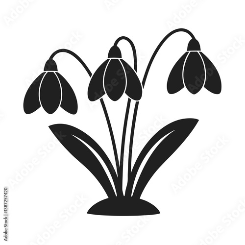 snowdrop flower silhouette vector illustration