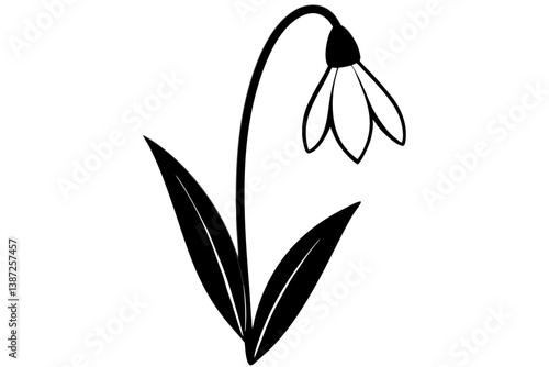 snowdrop flower silhouette vector illustration