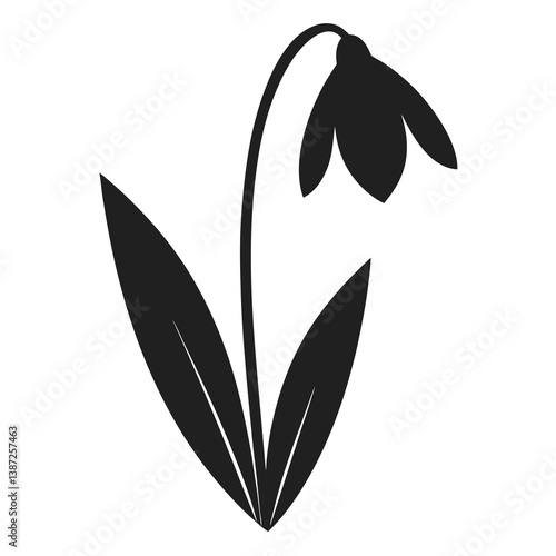 snowdrop flower silhouette vector illustration