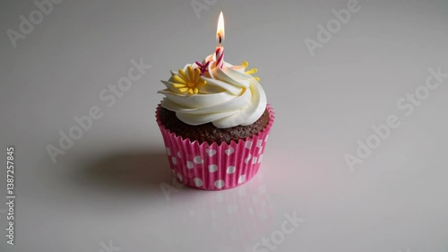 The Celebratory Birthday Cupcake