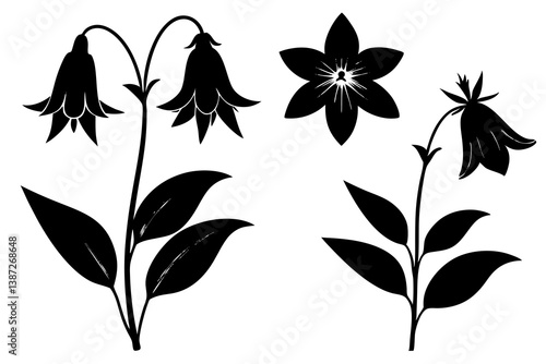 Campanula Flower silhouette vector illustration