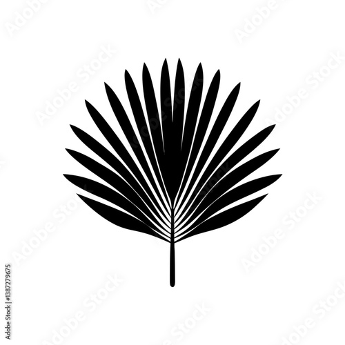 palm-fan-leaf-vector-silhouette
