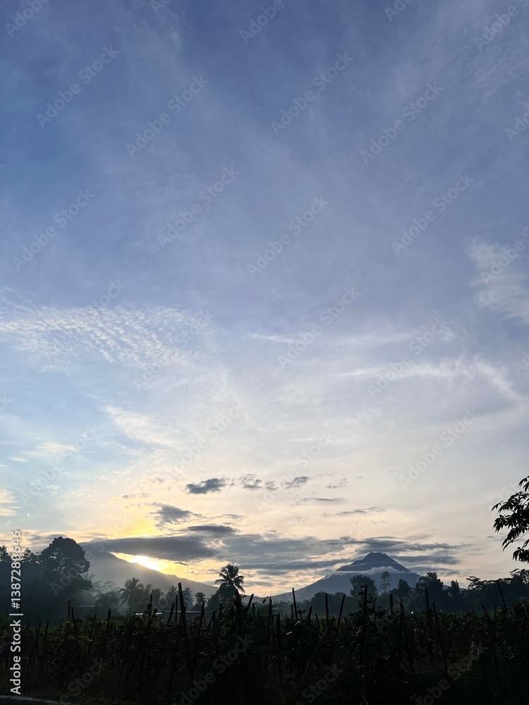Fototapeta premium bright green rice fields under clear skies