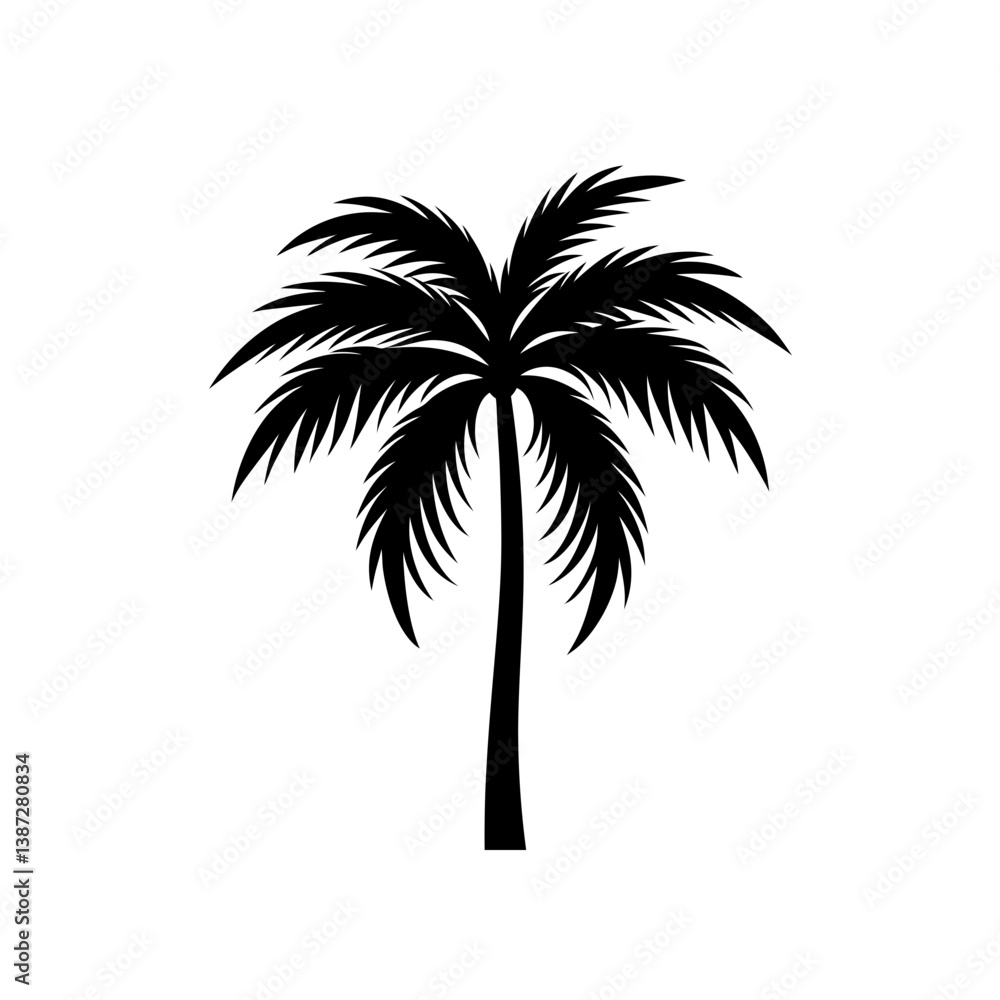 Obraz premium silhouette of palm trees