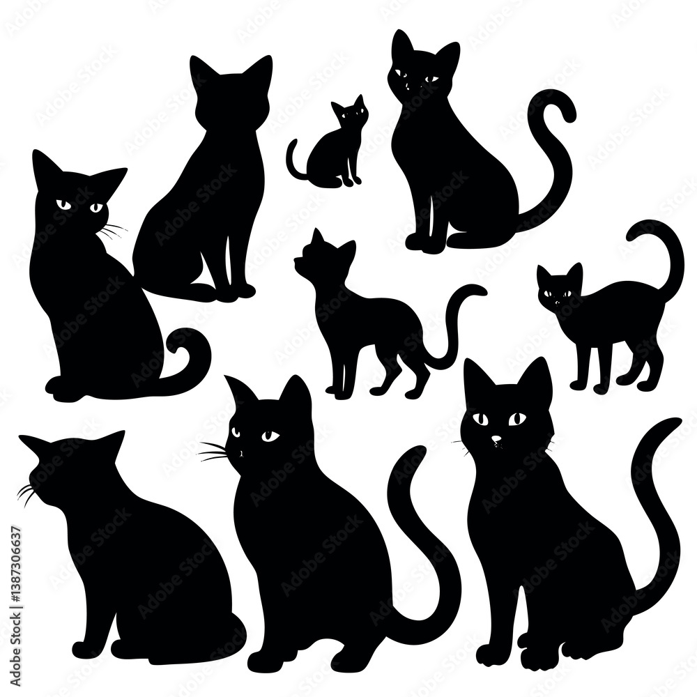 A silhouette-cat-kitty kitten-of-different A silhouette-cat-kitty kitten-of-different