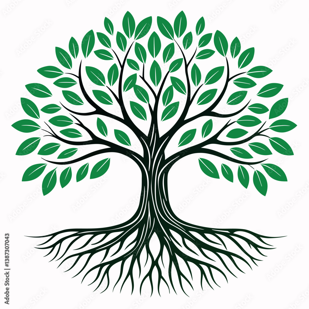 Obraz premium Banyan-tree-illustration-vector-design-with-a-white background.