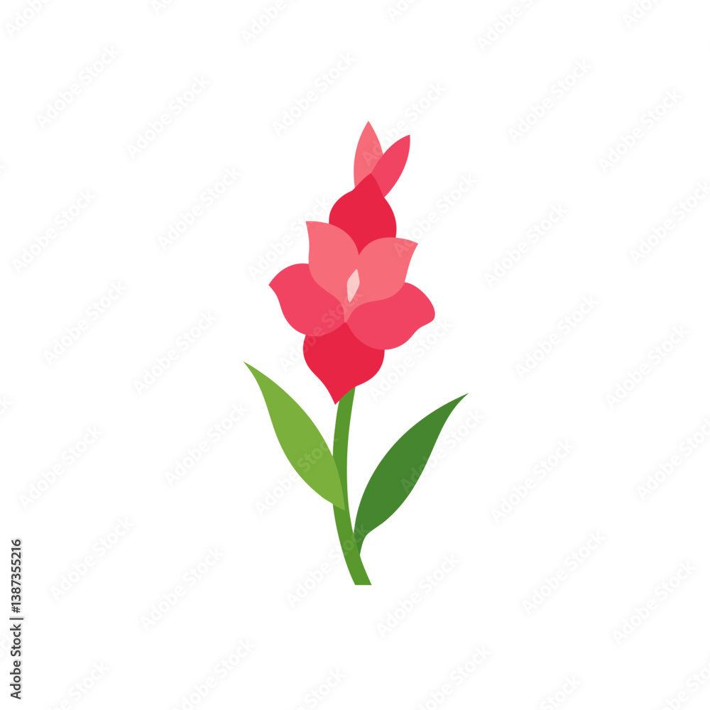 Fototapeta premium pink rose isolated on white background