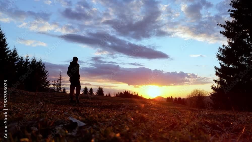 Silhouette of a person watching the sunset on the edge of aforest with golden grass and colorful sky Silhouette of a person watching the sunset on the edge of aforest with golden grass and colorful sky