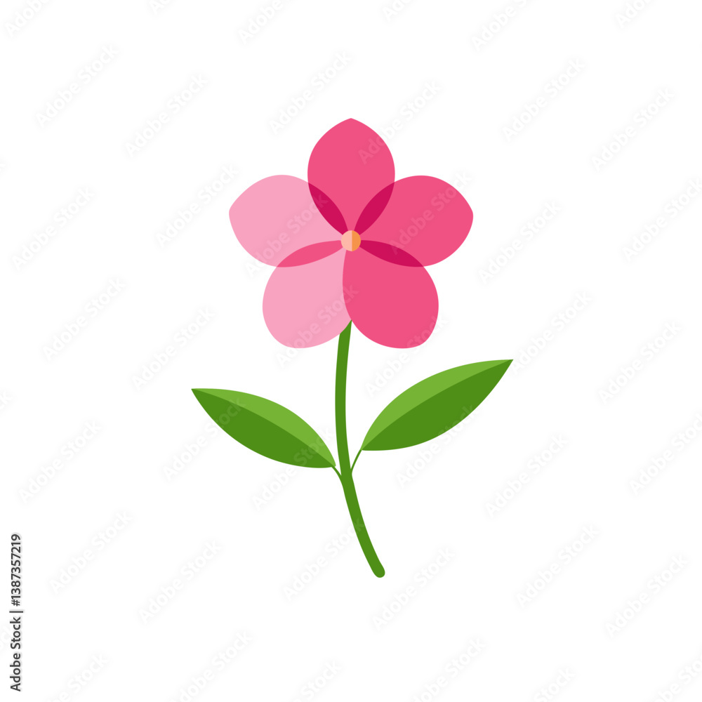pink flower isolated on white pink flower isolated on white