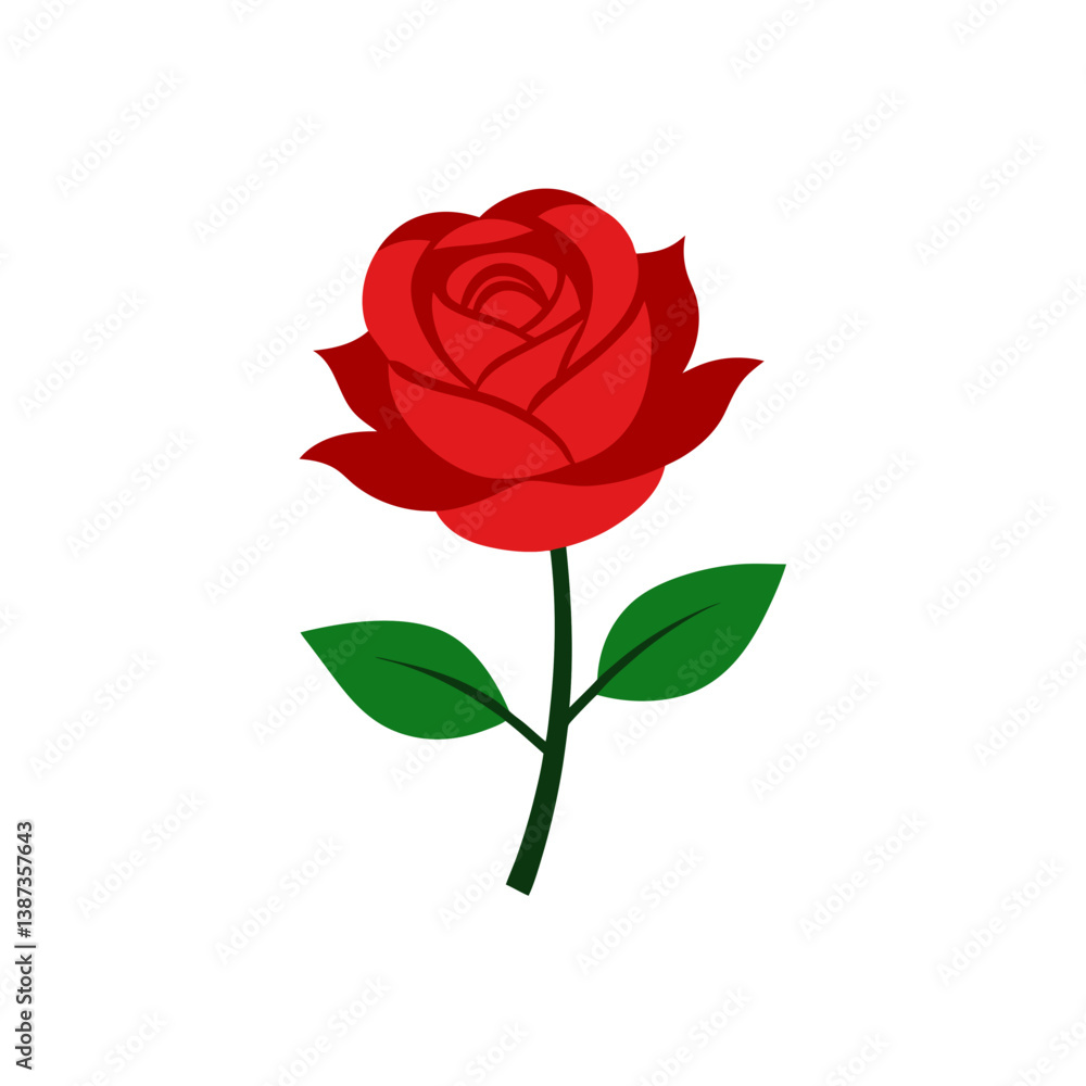 red rose isolated on white red rose isolated on white