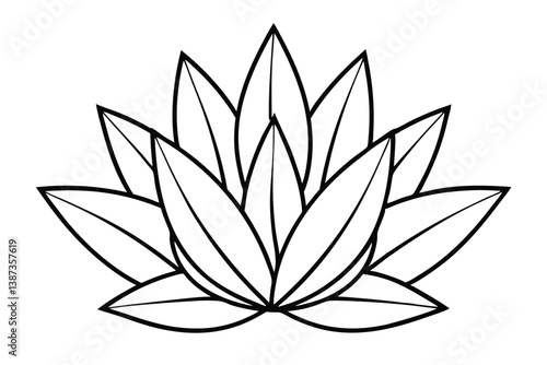 haworthia leaf line art illustration for modern botanical decor  