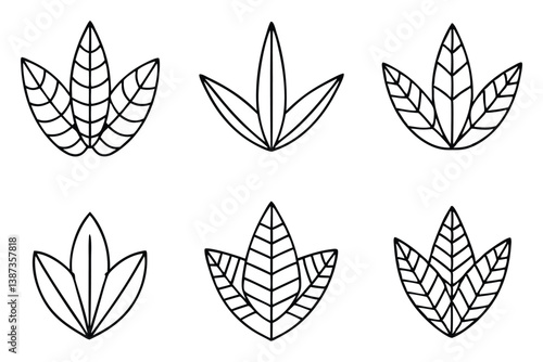 haworthia leaf line art illustration for modern botanical decor  