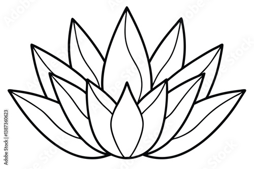haworthia leaf line art illustration perfect for elegant wall prints  