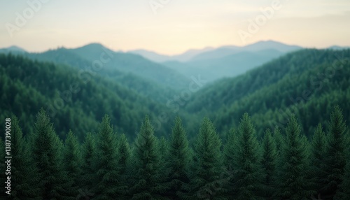 Serene forest landscape with mountains in the distance, showcasing lush greenery.