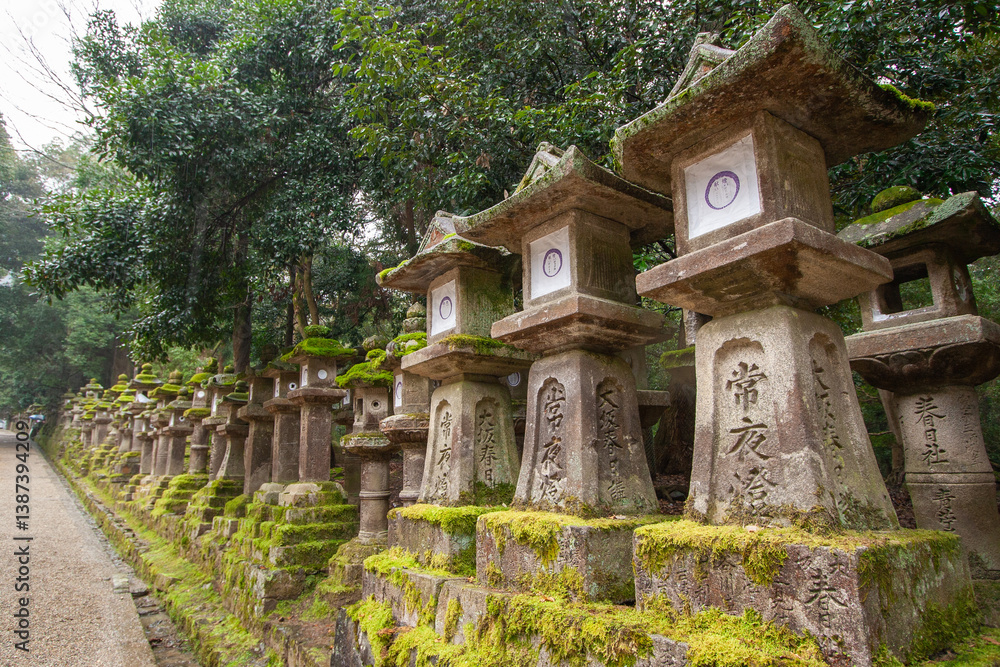 Ancient Stone Lanterns Lined Along Mossy Path Ancient Stone Lanterns Lined Along Mossy Path