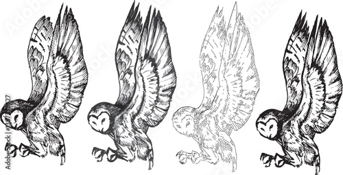 Set line drawings halloween clipart flying owl bird graphic black white contour sketch pen engraving style. Element for product design, print. Dark ink detailed cartoon style animal profile view 