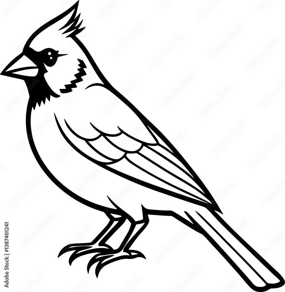 Fototapeta premium Cardinal bird simple black line art image, Black bold outline vector icon, Bird vector illustration
