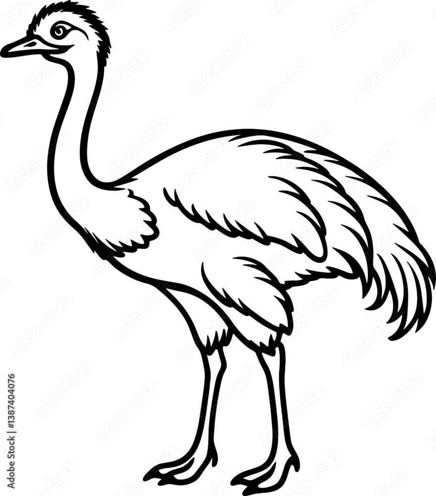 Emu bird simple black line art image, Black bold outline vector icon, Bird vector illustration Emu bird simple black line art image, Black bold outline vector icon, Bird vector illustration