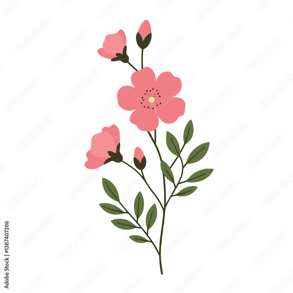 Pink flowering branch with leaves on a white background Pink flowering branch with leaves on a white background