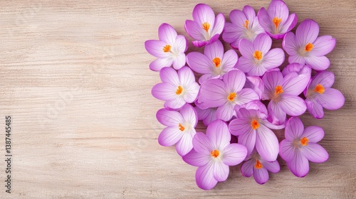 Flower wooden board weather. A vibrant arrangement of pink flowers on a wooden surface, creating a fresh and natural aesthetic.