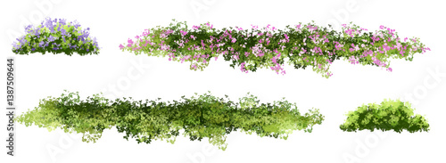 set of grass, Vertor set of spring blossom tree,blooming plants side view  for landscape elevation and section,eco environment concept design,watercolor shrub illustration,colorful season