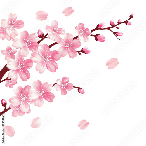 A Pink cherry blossoms gracefully adorn branch, with delicate petals gently falling, creating serene and tranquil scene. soft colors evoke sense of peace and beauty