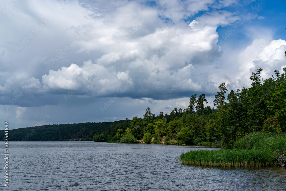 Obraz premium Different landscapes on the lake in summer.