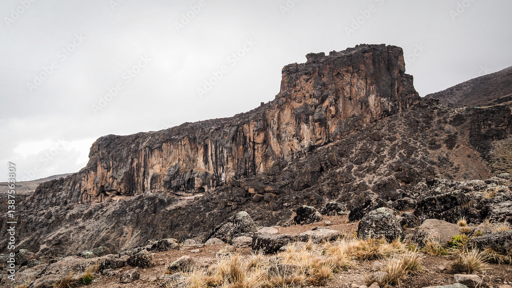 The landscape of Kilimanjaro Mountain in Tanzania The landscape of Kilimanjaro Mountain in Tanzania