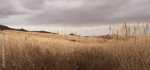 storm clouds over the field