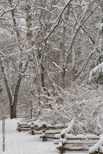 Natures Winter Wonderland