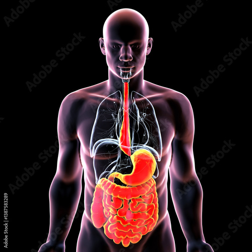 Obraz na płótnie Megaesophagus, 3D illustration w salonie