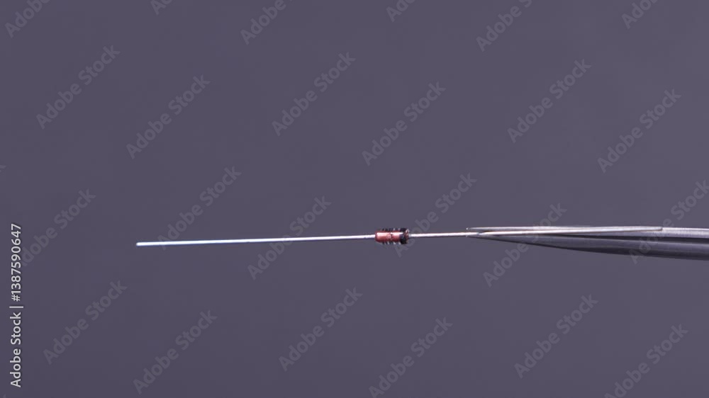 Component electronic diode zener through the hole technology Component electronic diode zener through the hole technology
