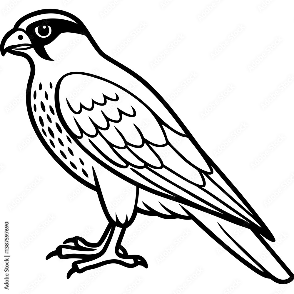 Obraz premium Clean and Modern Falcon Line Art