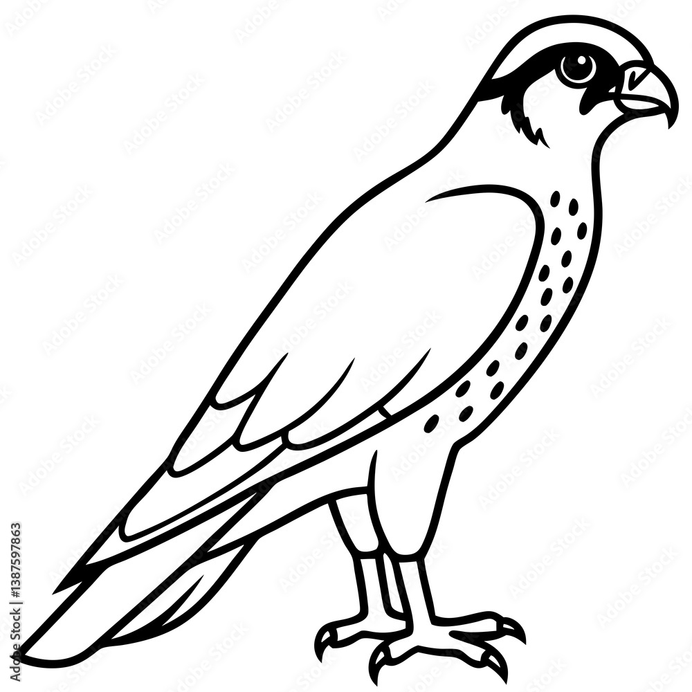 Obraz premium Clean and Modern Falcon Line Art
