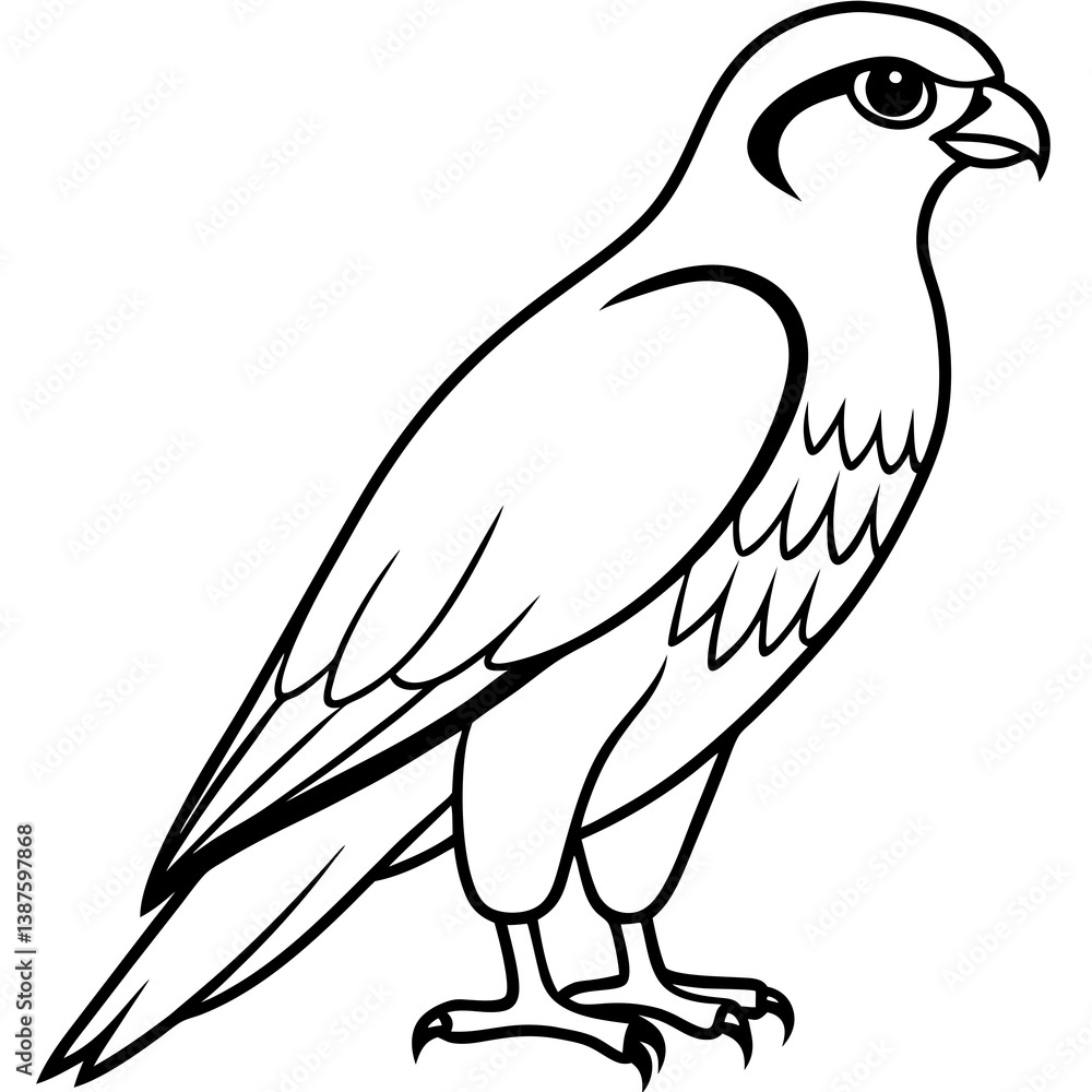 Fototapeta premium Clean and Modern Falcon Line Art