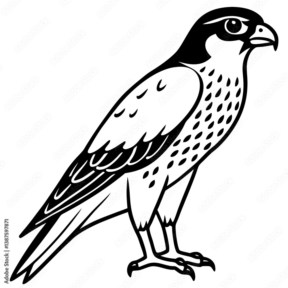 Fototapeta premium Clean and Modern Falcon Line Art