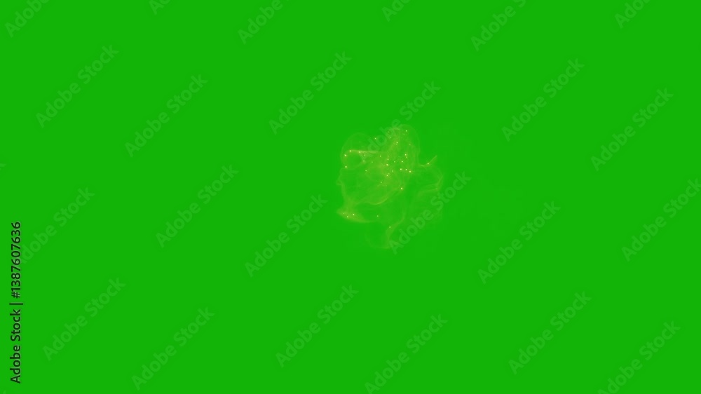 Magic Fairy top Resolution green screen animated video 4k, Easy editable green screen video, high quality vector 3D illustration. Top choice green screen background Magic Fairy top Resolution green screen animated video 4k, Easy editable green screen video, high quality vector 3D illustration. Top choice green screen background