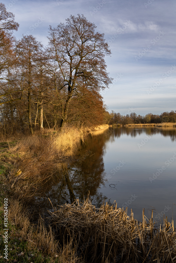 The first days of spring at the Raszyn ponds, Masovia, Poland The first days of spring at the Raszyn ponds, Masovia, Poland