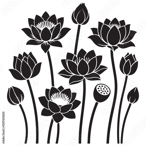 Set of Silhouette Vector Black of lotus flowers. with white background