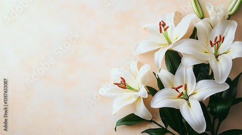 Elegant white lilies in a minimalist arrangement, ideal for spring and Easter designs, floral ads, or tranquil home decor.