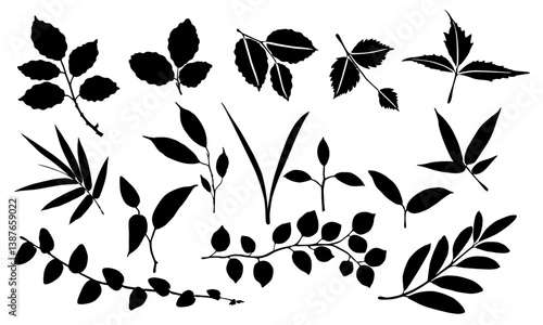 ivy leaves. Trailing vines . creeping foliage. silhouettes ivy leaves or branches 