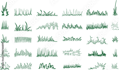 Doodle grass. Sketch natural field grass. Outline hand drawn wild grassy plants. Organic herb silhouette, patterns and blades. Springs garden herbal and grasses border