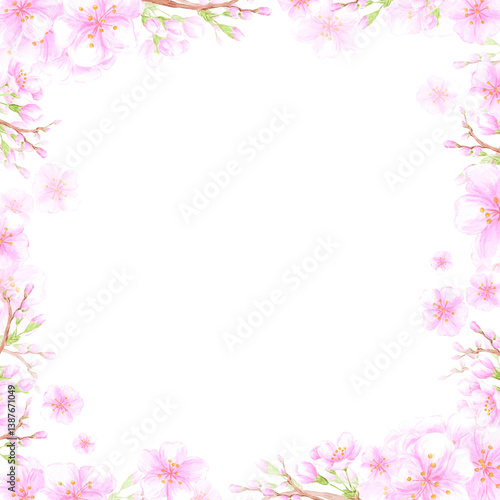 Hand drawn watercolor cherry blossom branch frame border. Illustration of flowers isolated on white background. Can be used for postcard, album, scrapbook and other printed products.